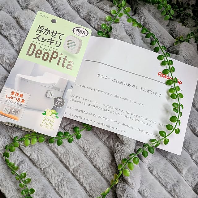 Renさんのお部屋の写真