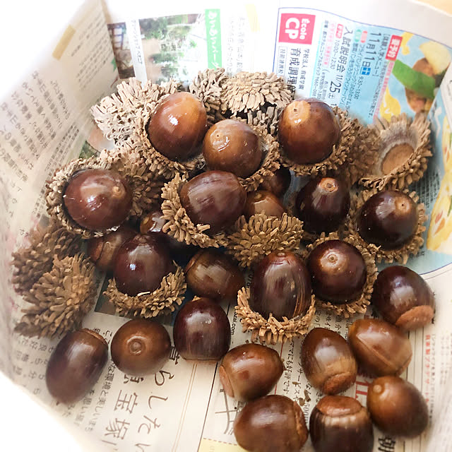 kojiro120513さんの実例写真