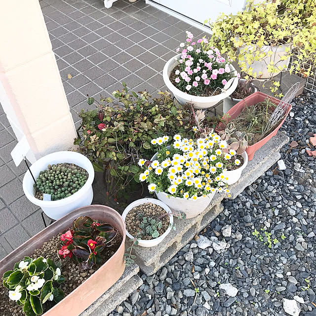 rikomiさんの部屋