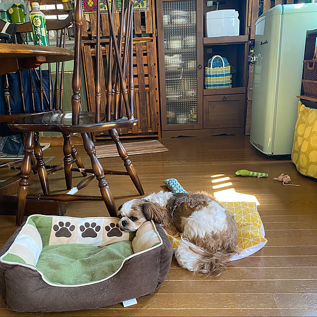 SHIHOさんの実例写真