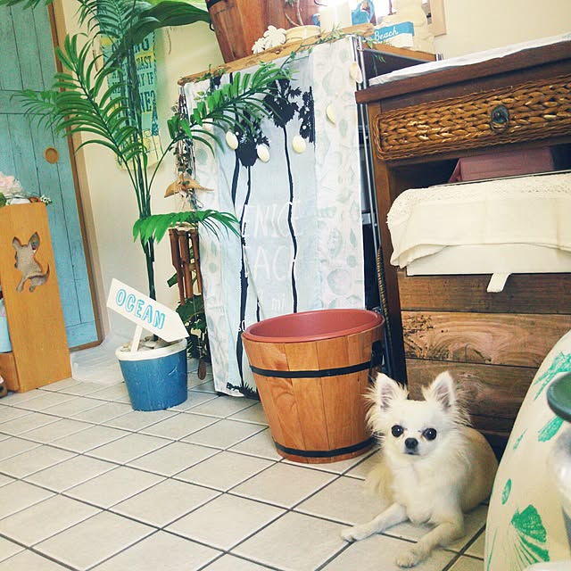 sachikoroさんの実例写真