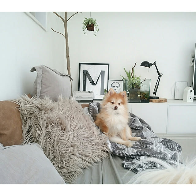mi-さんの実例写真