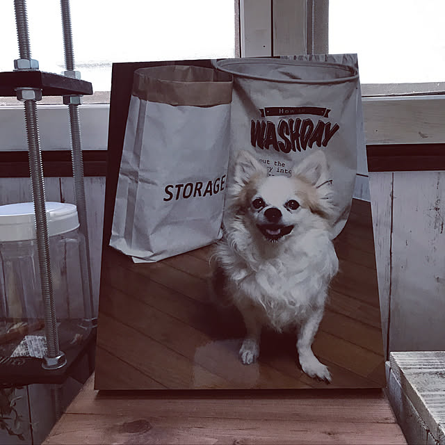 seroriさんの実例写真