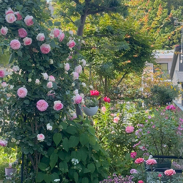 parfaitさんの実例写真