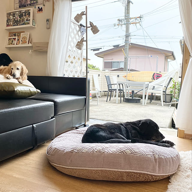 minu5656さんの実例写真
