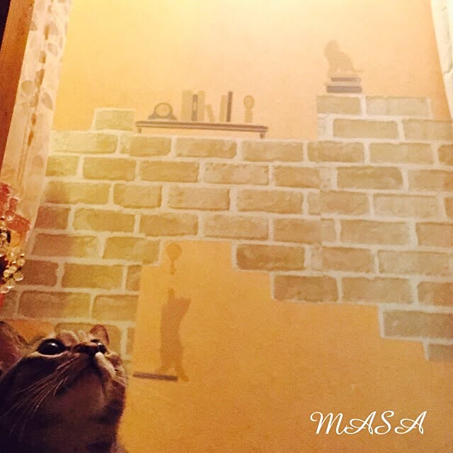 MASAさんの実例写真
