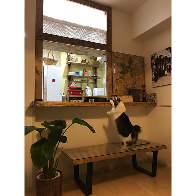 Yujiroさんの実例写真