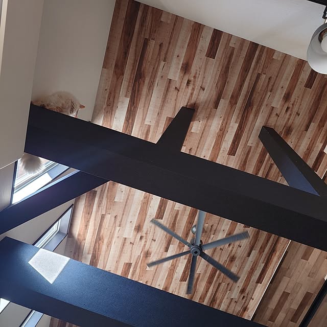 Natte_0429_1010さんの部屋