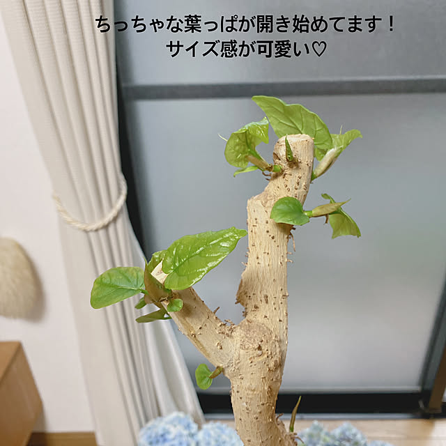 yukaさんの部屋