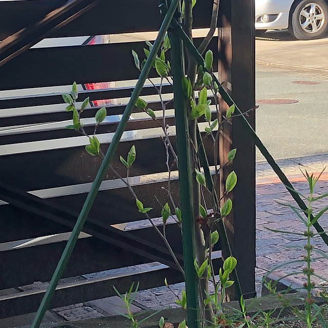 pino1227さんの実例写真