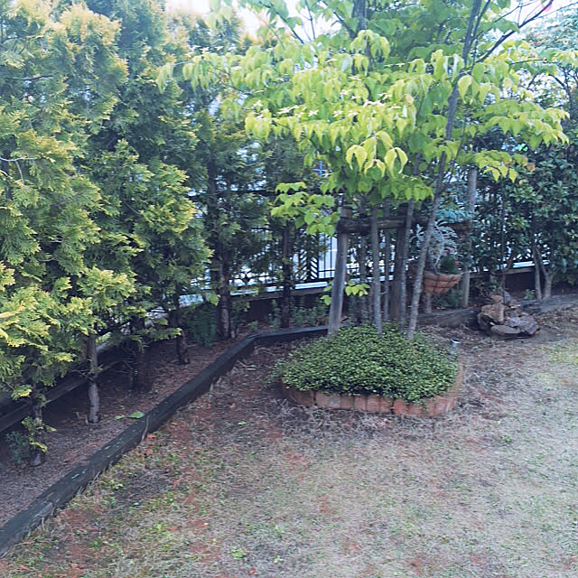 Momoさんの実例写真