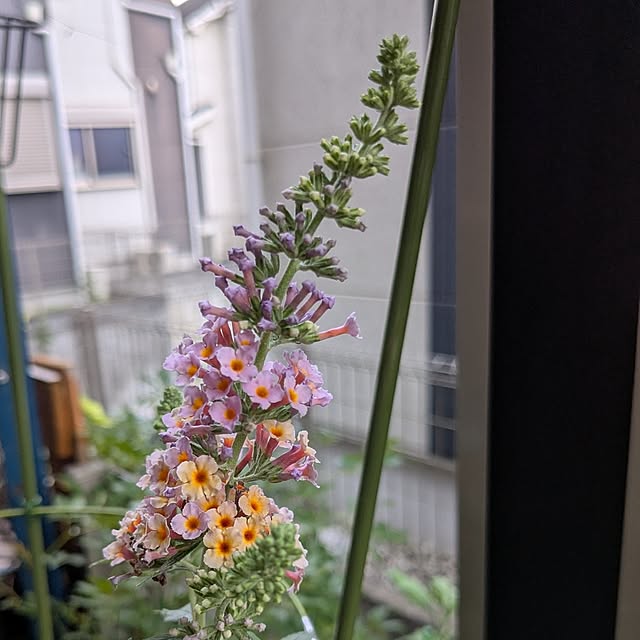 kazuさんの部屋