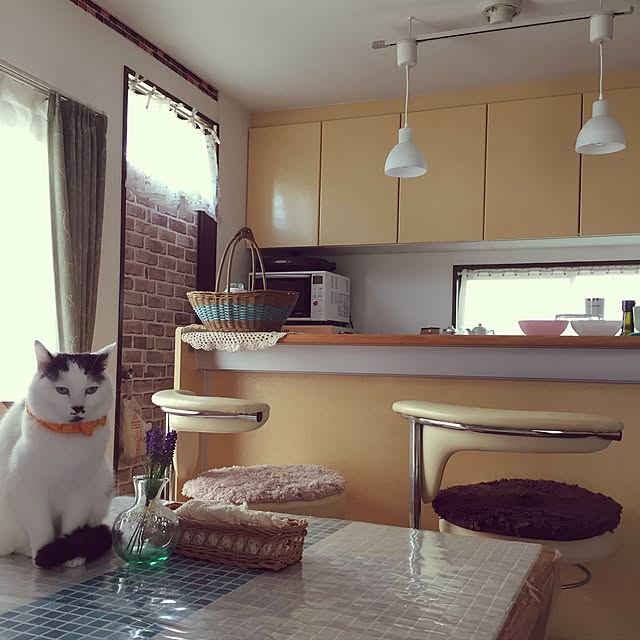 miiko3さんの実例写真
