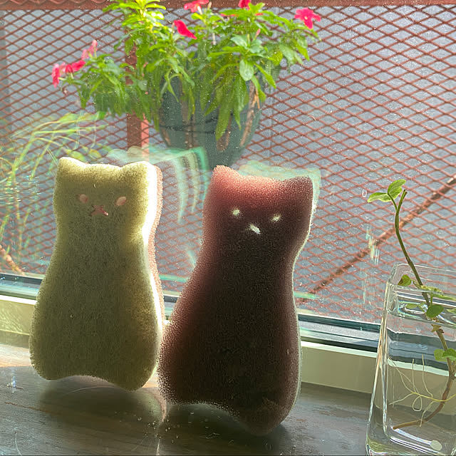minatamaさんの実例写真