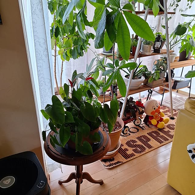 SENAさんの部屋