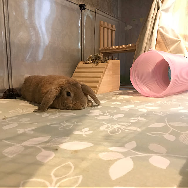 nonさんの実例写真