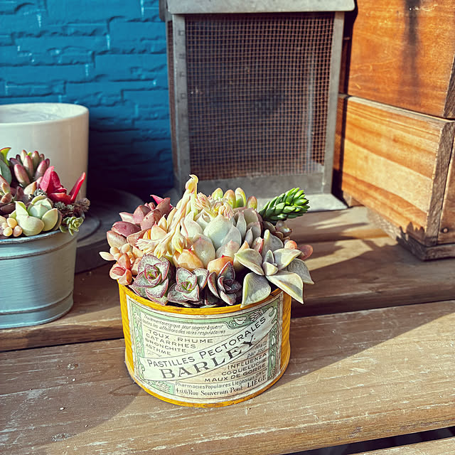 buchikoさんの部屋