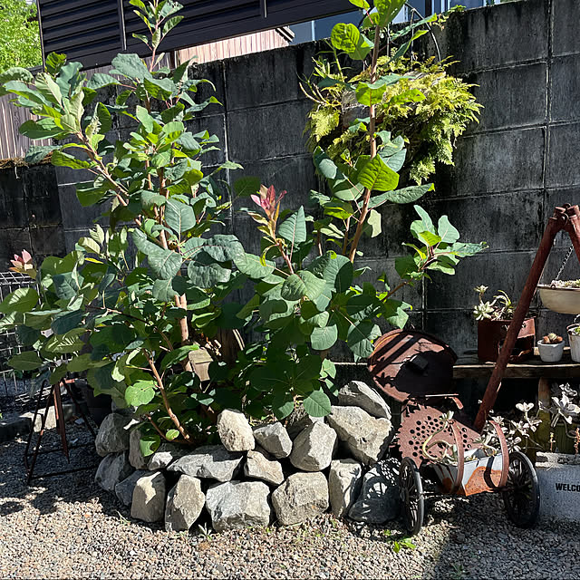 t..tさんの実例写真
