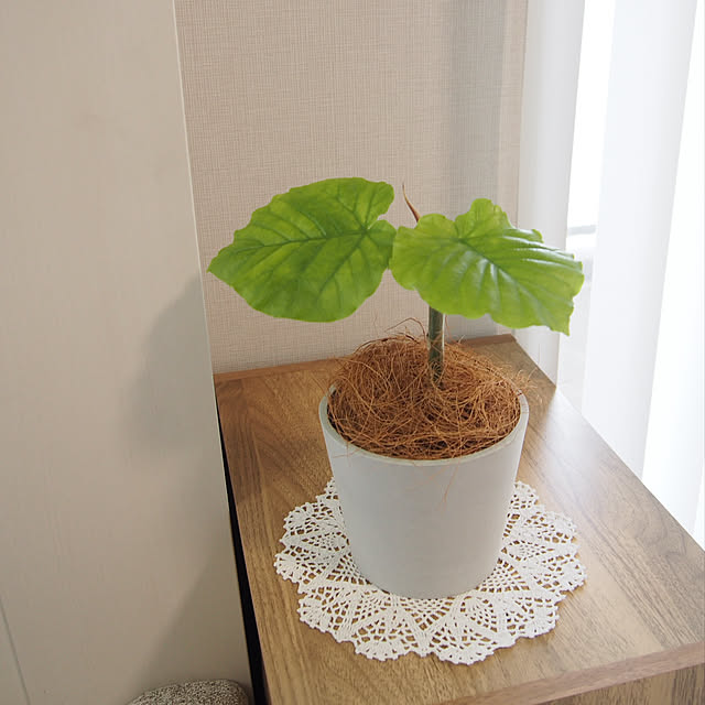 chikoさんの部屋
