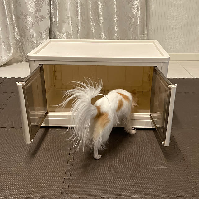 toratanさんの部屋