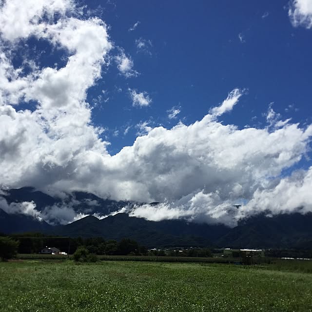 pariさんの実例写真