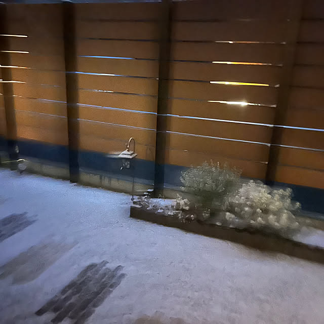 mayuiroさんの実例写真