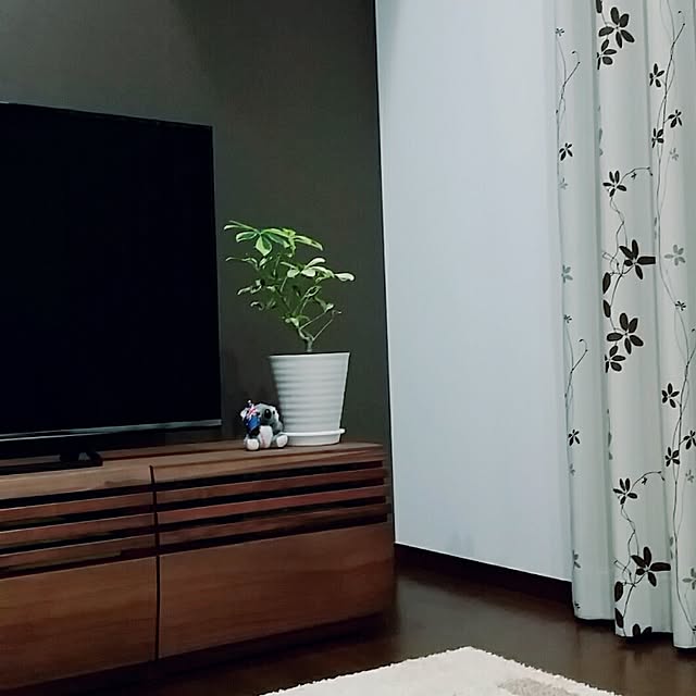 sa.2さんの実例写真