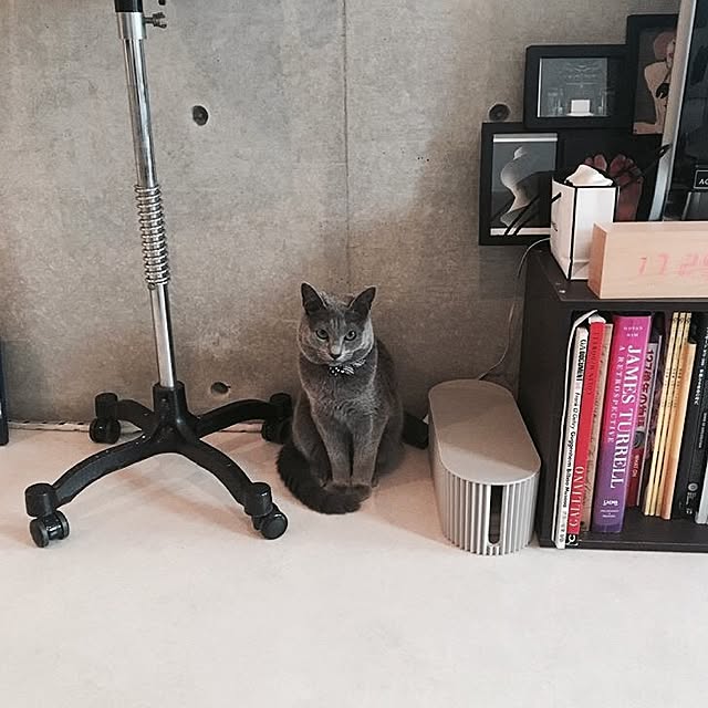 vさんの実例写真