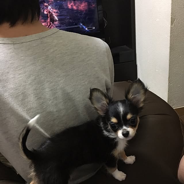 kaorunさんの実例写真