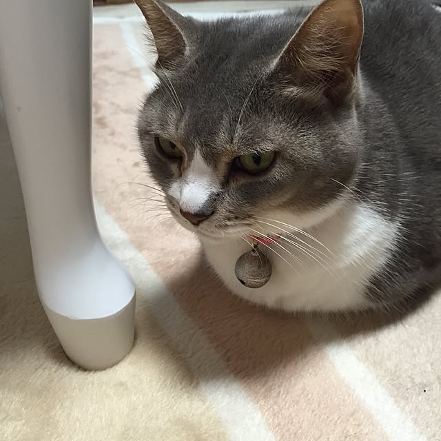 tiduruさんの実例写真