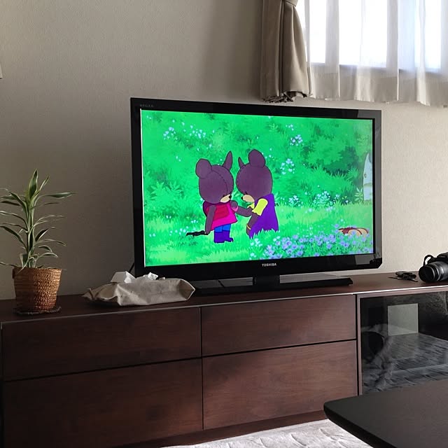 Hanaさんの実例写真