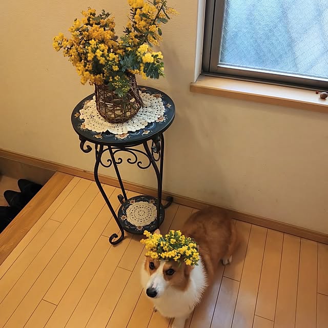 kyon814さんの部屋