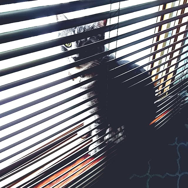 naokoさんの実例写真