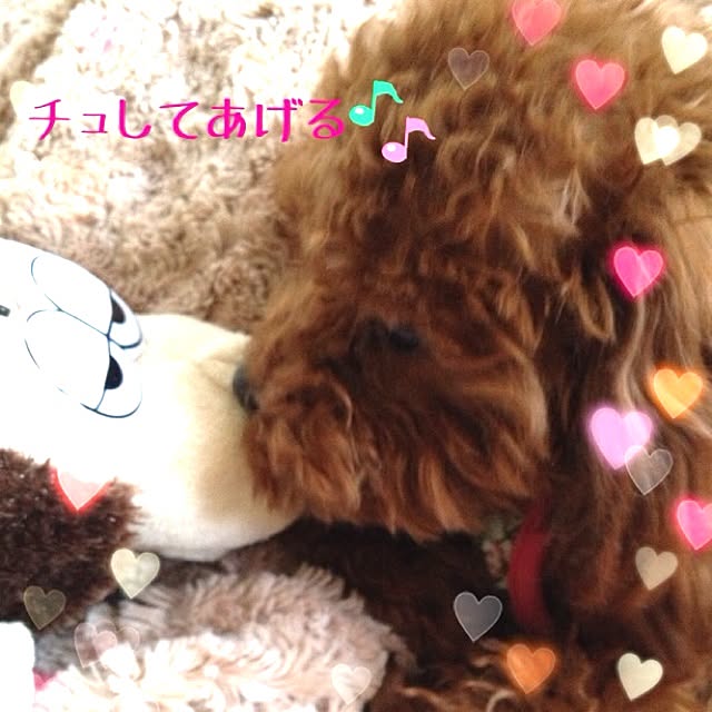 cocoさんの実例写真