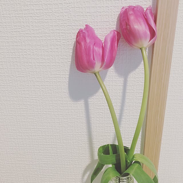 twichaaanさんの実例写真