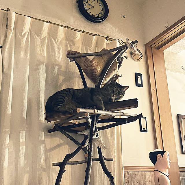 Mさんの実例写真