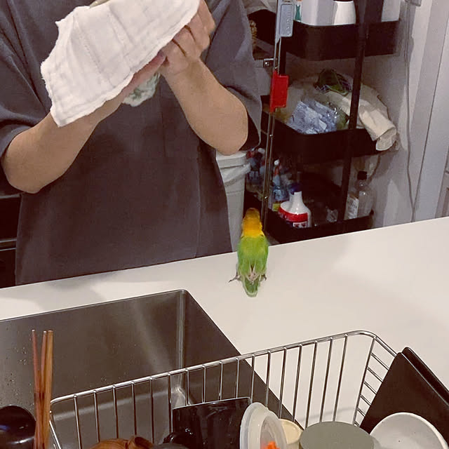 s.p.sunaoさんの実例写真