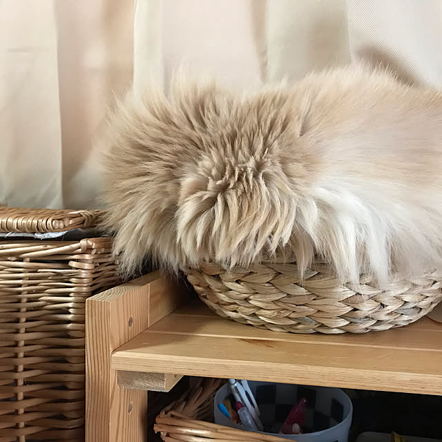  mocaliさんの実例写真