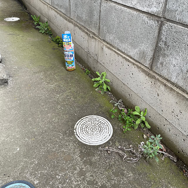 ronronさんの部屋