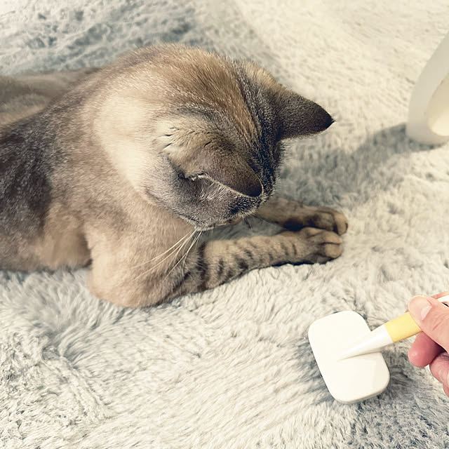 mieさんの実例写真