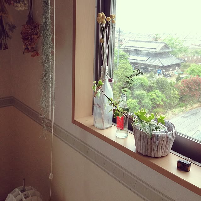 ___miiiiiiiko___さんの実例写真