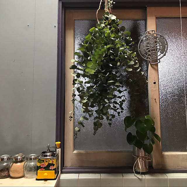 joshua.treeさんの実例写真