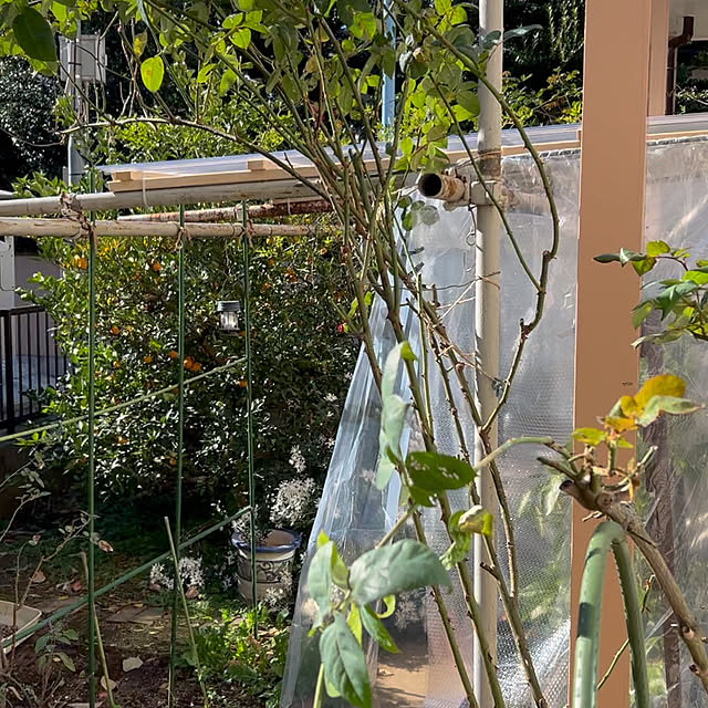 botanさんの部屋