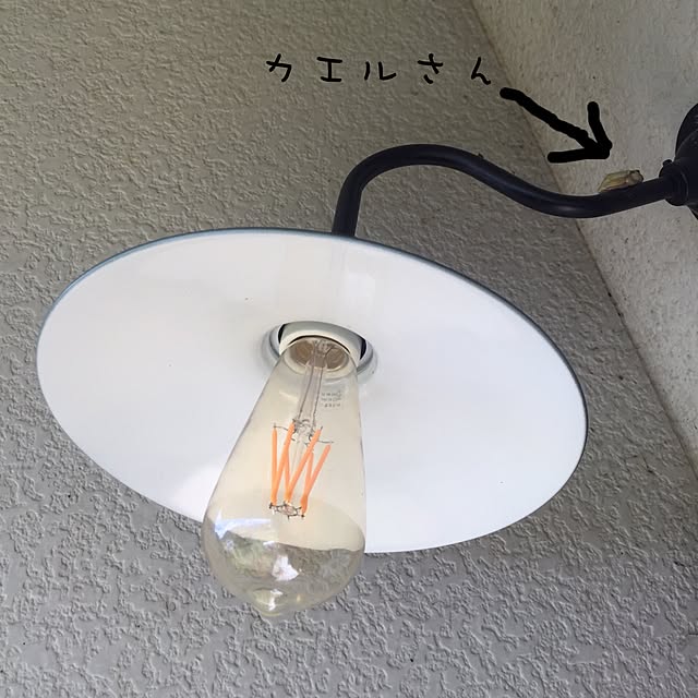 mayuさんの実例写真