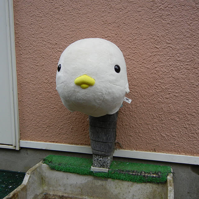 sixflagsさんの実例写真