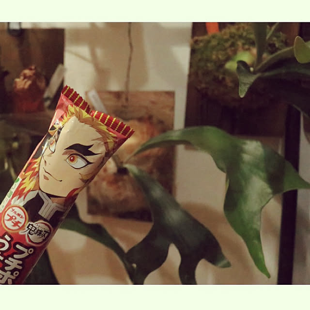 Chikakoさんの実例写真