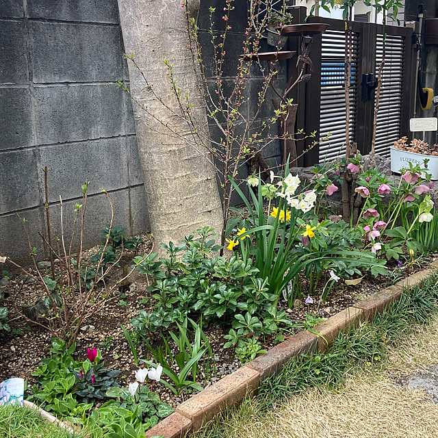 mamaさんの実例写真