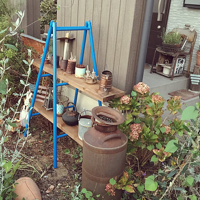 caolinpanさんの実例写真