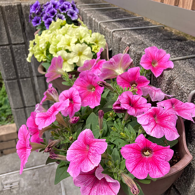 bestwishes.ryokoさんの部屋