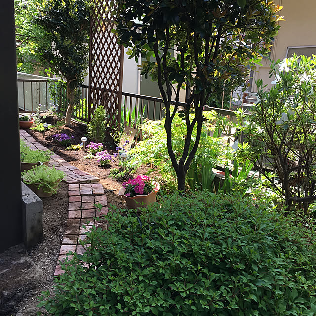 m-ktry.0530mikaさんの実例写真